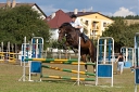 Název souboru=040_332.jpg
Velikost souboru=243KB
Rozměry=720x480
Datum přidání=12. Září 2012 040_332.jpg