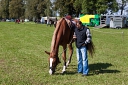 Název souboru=042_104.jpg
Velikost souboru=311KB
Rozměry=720x480
Datum přidání=19. Září 2012 042_104.jpg