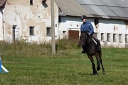 Název souboru=P1050820.JPG
Velikost souboru=146KB
Rozměry=720x481
Datum přidání=17. Říjen 2011 P1050820.JPG