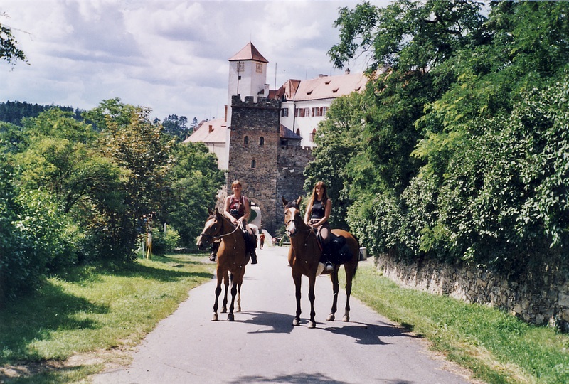 12_m15.jpg