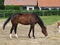P8050050
